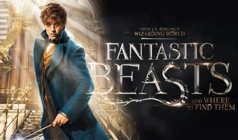 Eddie Redmayne as Newt Scamander, from 'Fantastic Beasts and Where to Find Them,' in theaters November 18