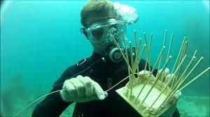 Underwater Basket Weaving will be offered to juniors and seniors and will be taught by Coach Aydt.