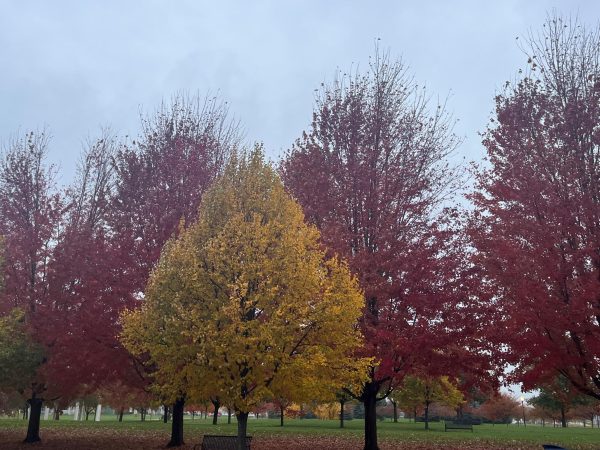 There’s more to fall than leaves changing and cold weather
